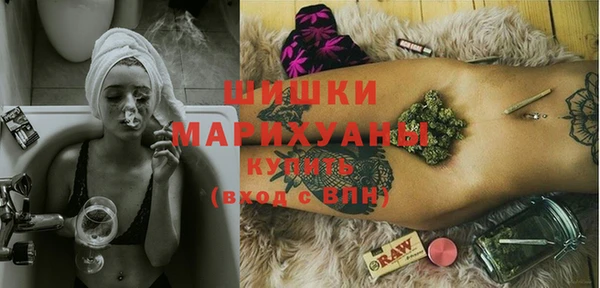 молекула духа Переславль-Залесский
