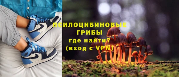 дживик Весьегонск