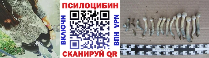 Галлюциногенные грибы Psilocybe  Белая Холуница 